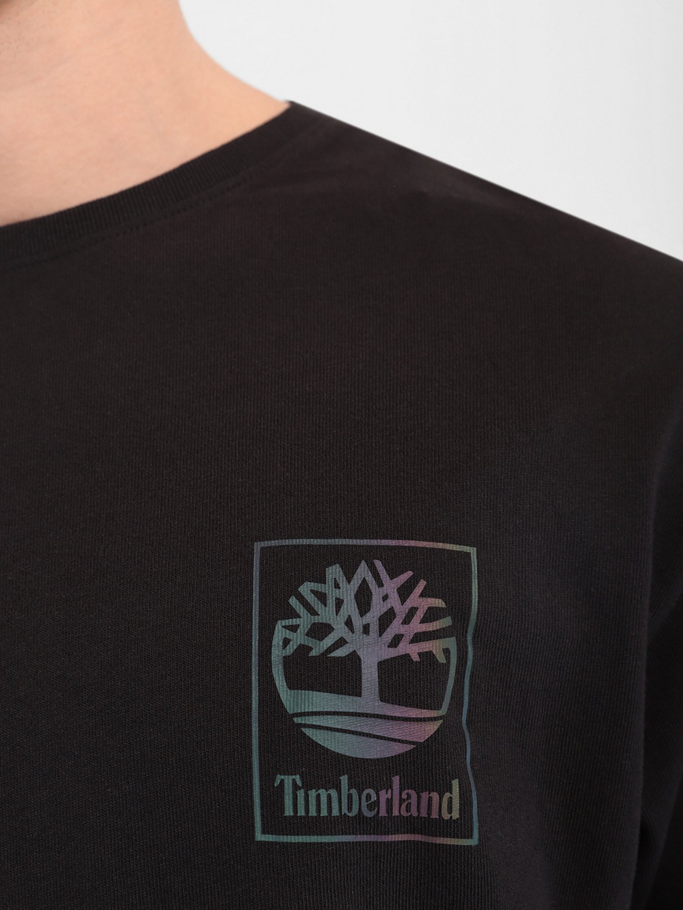 Лонгслив Timberland Ls Nl Sky Graphic модель TB0A22JS001 Фото