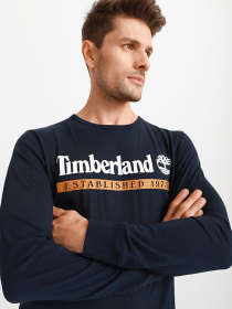 Реглан Timberland Established 1973 модель TB0A2AWKT27 Фото