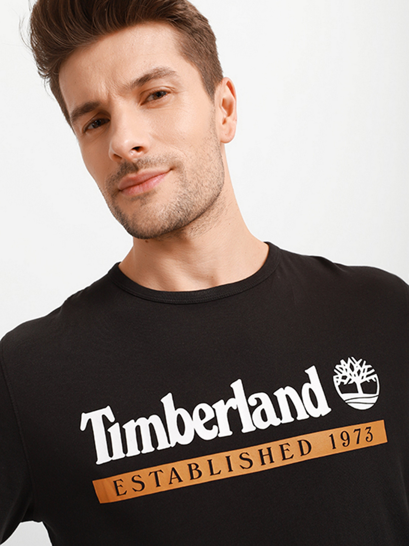 Реглан Timberland Established 1973 модель TB0A2AWKP56 Фото