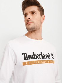 Лонгслив Timberland Established 1973 модель TB0A2AWKZ48 Фото
