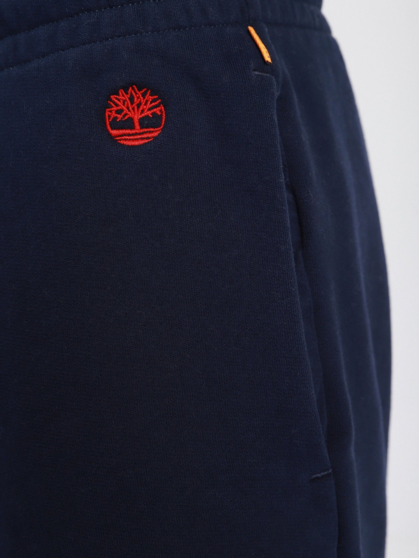 Спортивні штани Timberland Exeter модель TB0A2CN7433 Фото