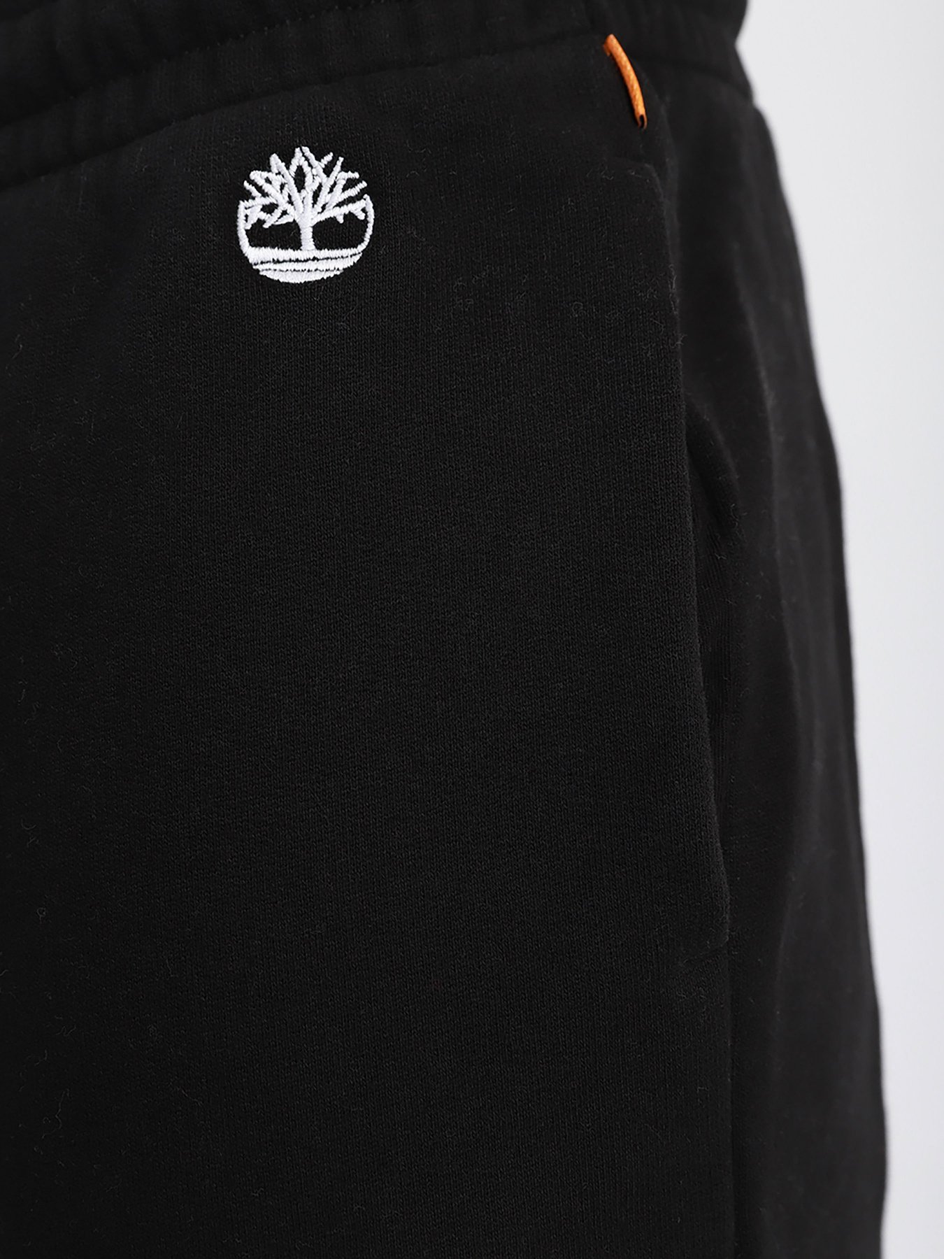 Штани спортивні Timberland Exeter Модель TB0A2CN7001 Фото