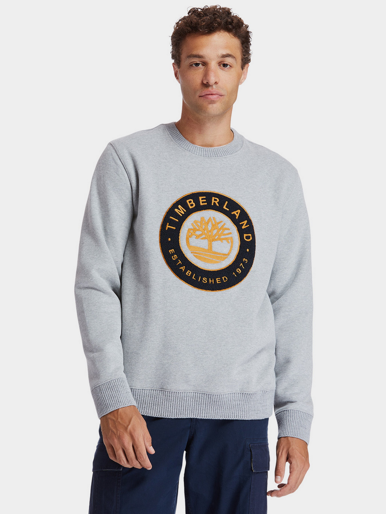 Свитшот Timberland Logo модель TB0A2CQ2052 Фото