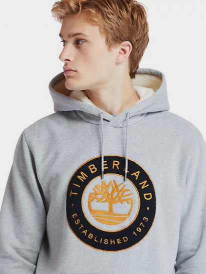 Худи Timberland COLD RIVER модель TB0A2CQD052 — фото 4 - INTERTOP