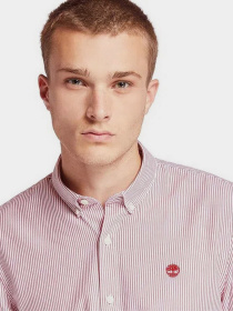 Рубашка повседневная Timberland Oxford Strip модель TB0A21XQP95 Фото