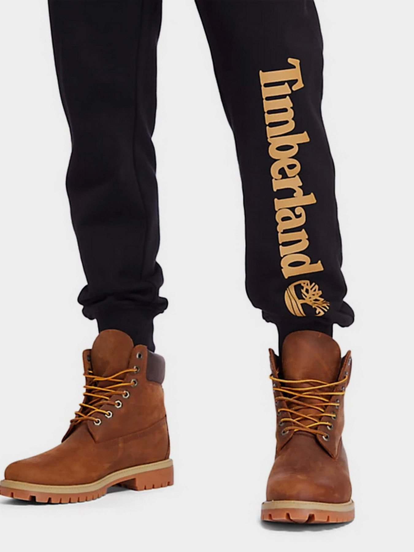 Штаны спортивные Timberland CORE TREE LOGO PULL-OVER модель TB0A2BVFP56 Фото