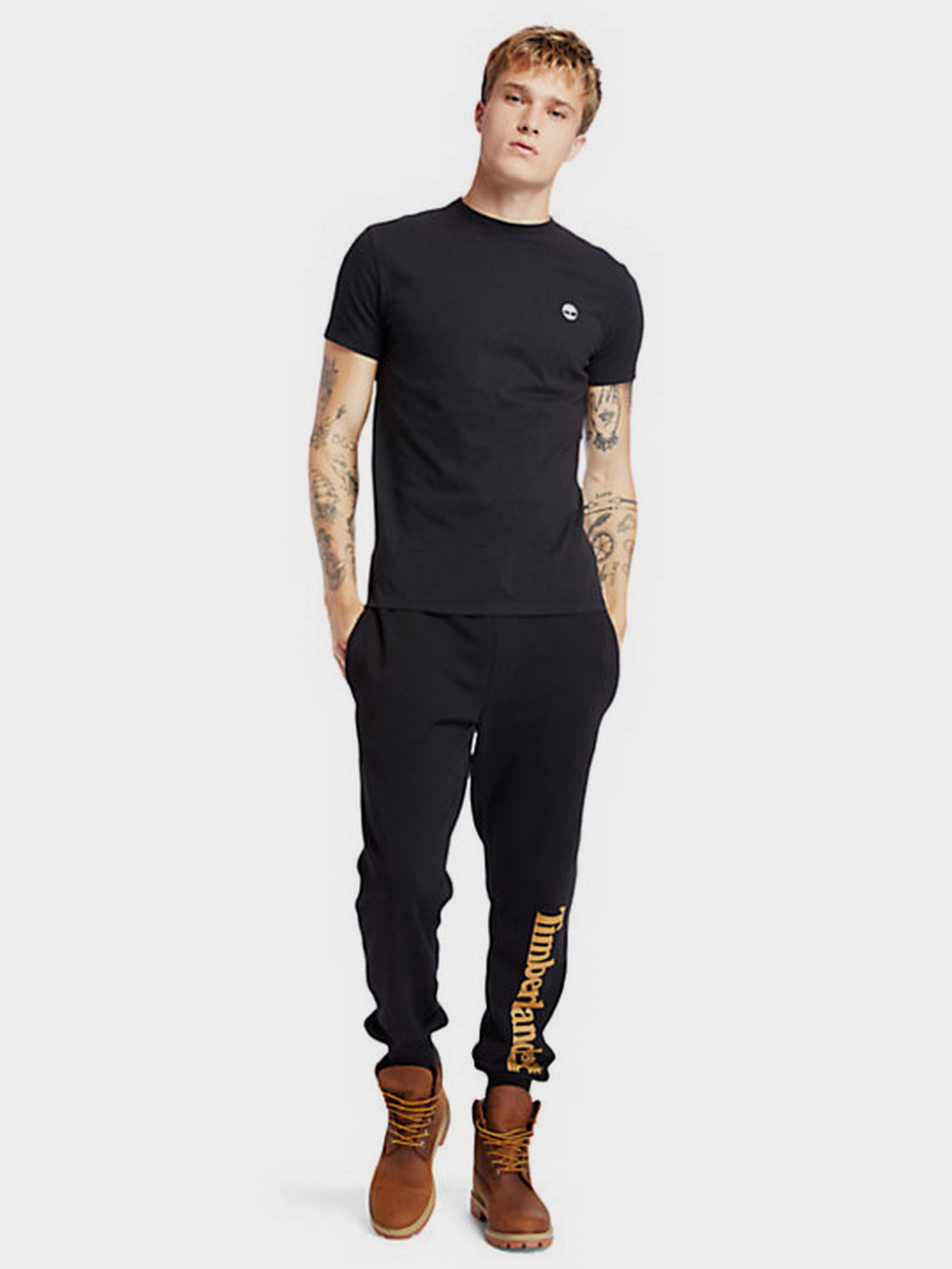 Штаны спортивные Timberland CORE TREE LOGO PULL-OVER модель TB0A2BVFP56 Фото