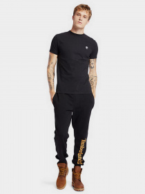 Штаны спортивные Timberland CORE TREE LOGO PULL-OVER модель TB0A2BVFP56 Фото