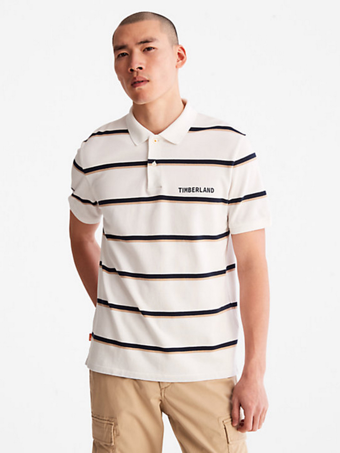 Поло Timberland Zealand River Striped модель TB0A26PXA94 Фото