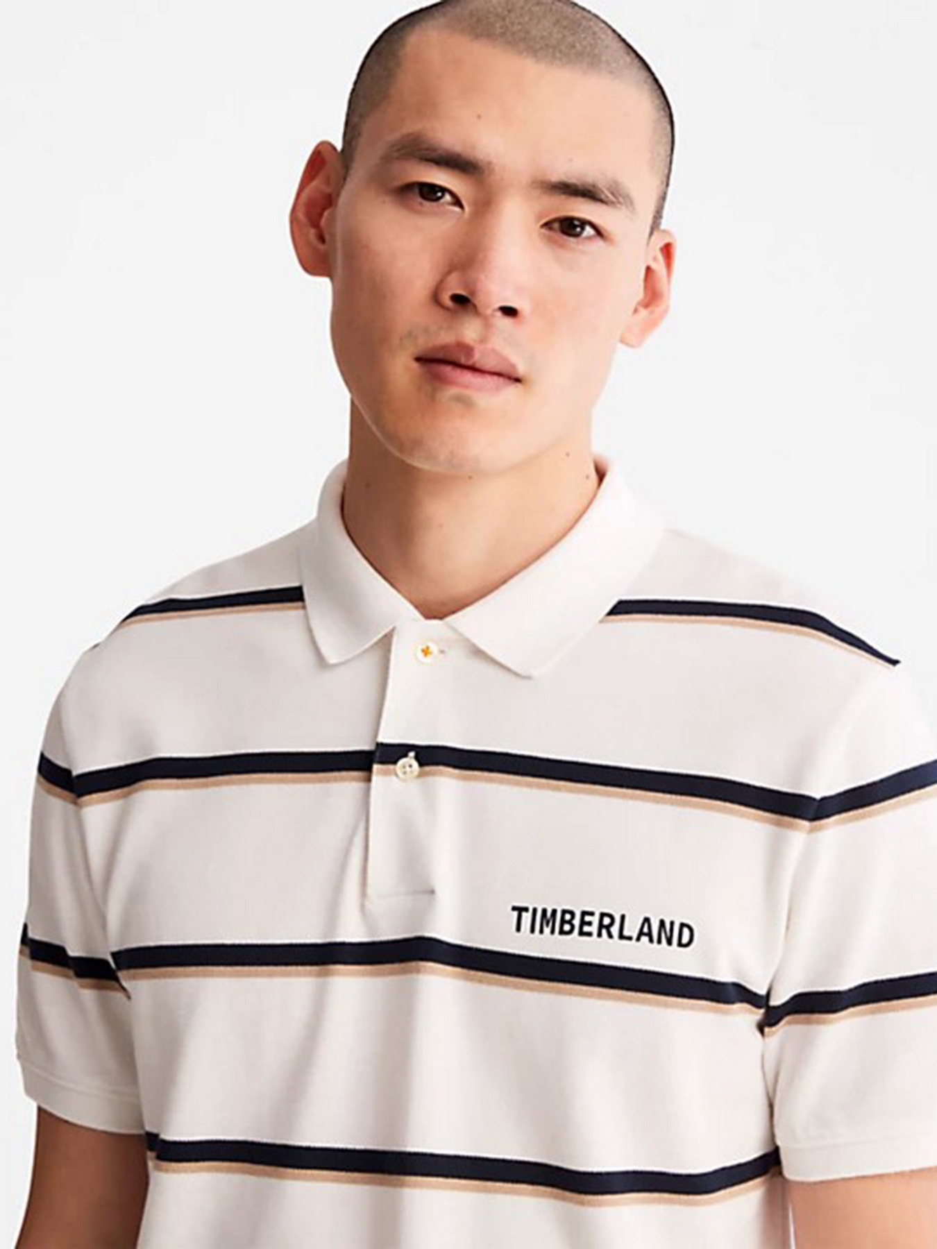 Поло Timberland Zealand River Striped модель TB0A26PXA94 Фото