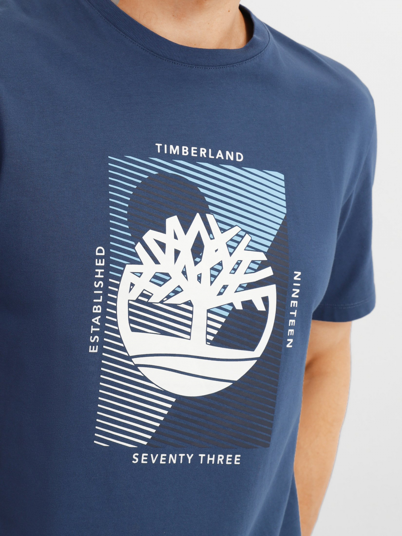 Футболки и поло Timberland Tree-Logo модель TB0A26TE288 Фото