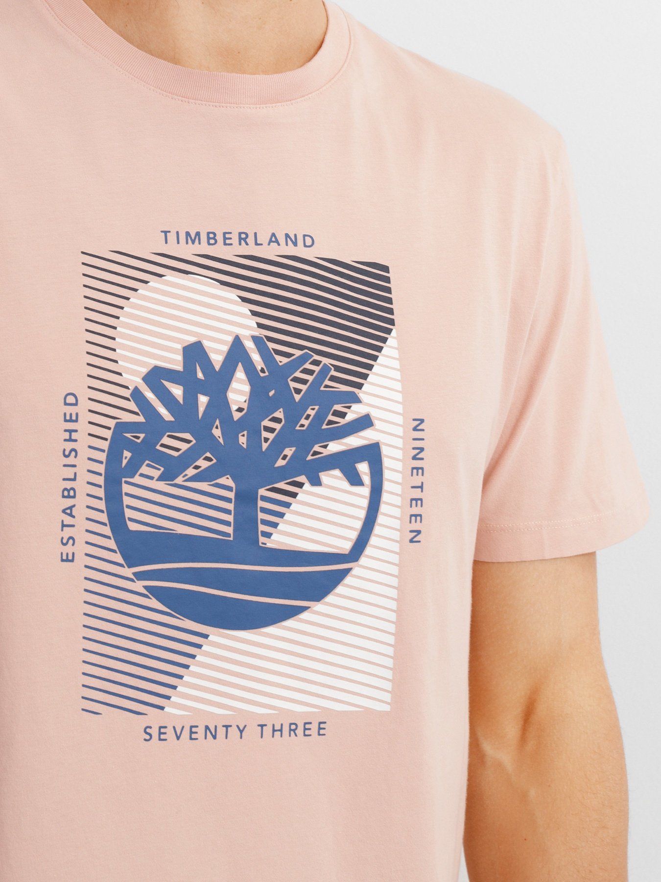 Футболка Timberland Tree-Logo модель TB0A26TE662 Фото