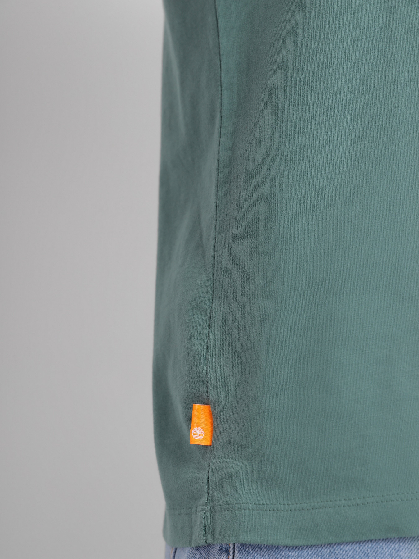 Футболка Timberland Tree-Logo модель TB0A26TECL6 Фото