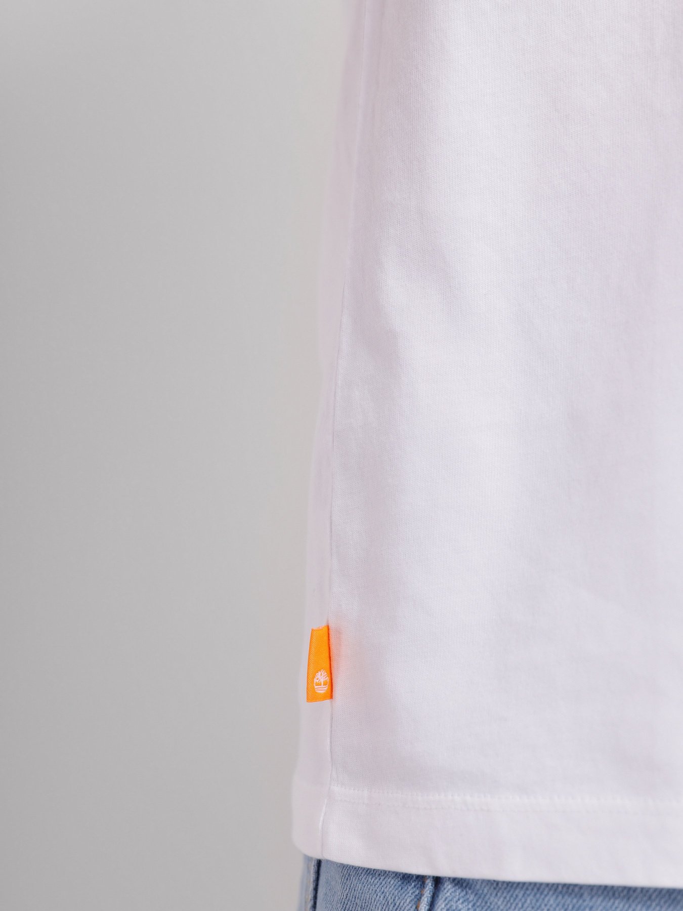 Футболка Timberland Block Brand Carrier модель TB0A26TP100 Фото