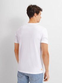 Футболка Timberland Block Brand Carrier модель TB0A26TP100 Фото