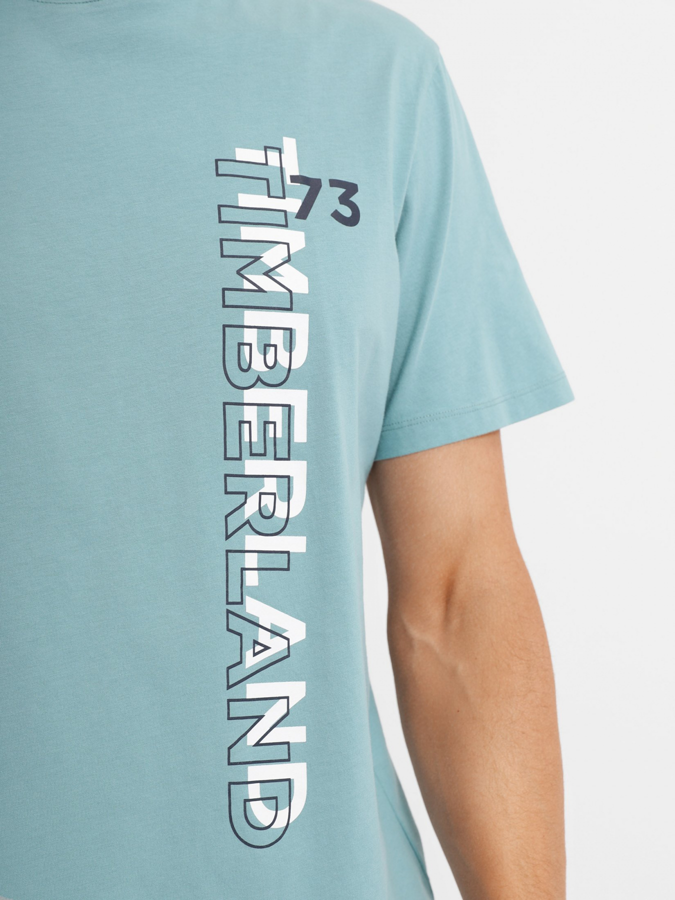 Футболка Timberland SS Brand Carrier Side Linear Graphic модель TB0A26UNG99 Фото