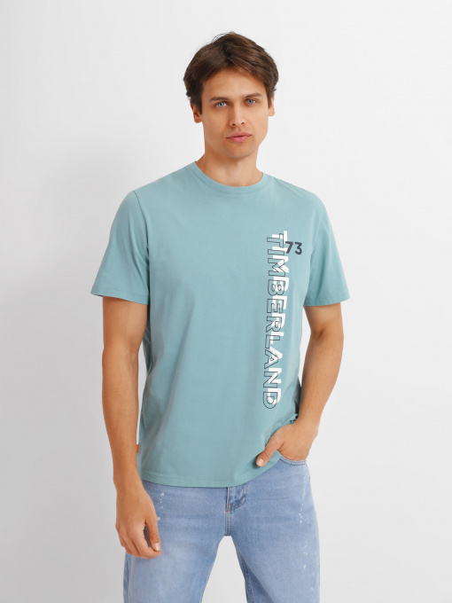Футболка Timberland SS Brand Carrier Side Linear Graphic модель TB0A26UNG99 Фото