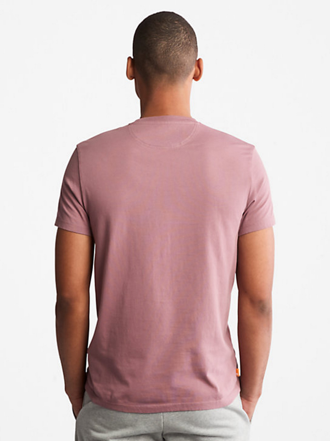 Футболки и поло Timberland Dunstan River модель TB0A2BPRCL4 Фото