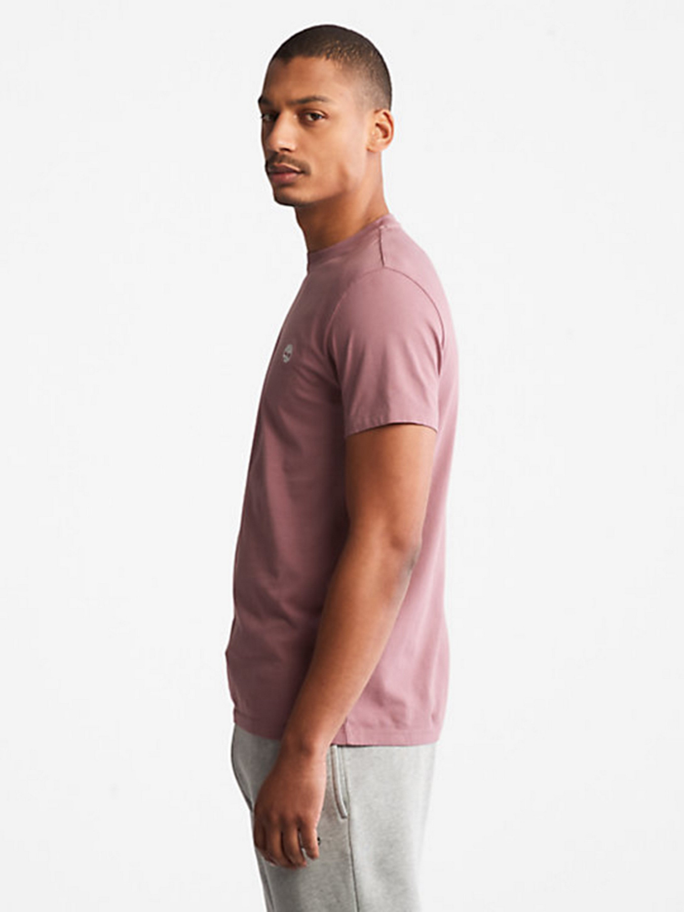 Футболки и поло Timberland Dunstan River модель TB0A2BPRCL4 Фото