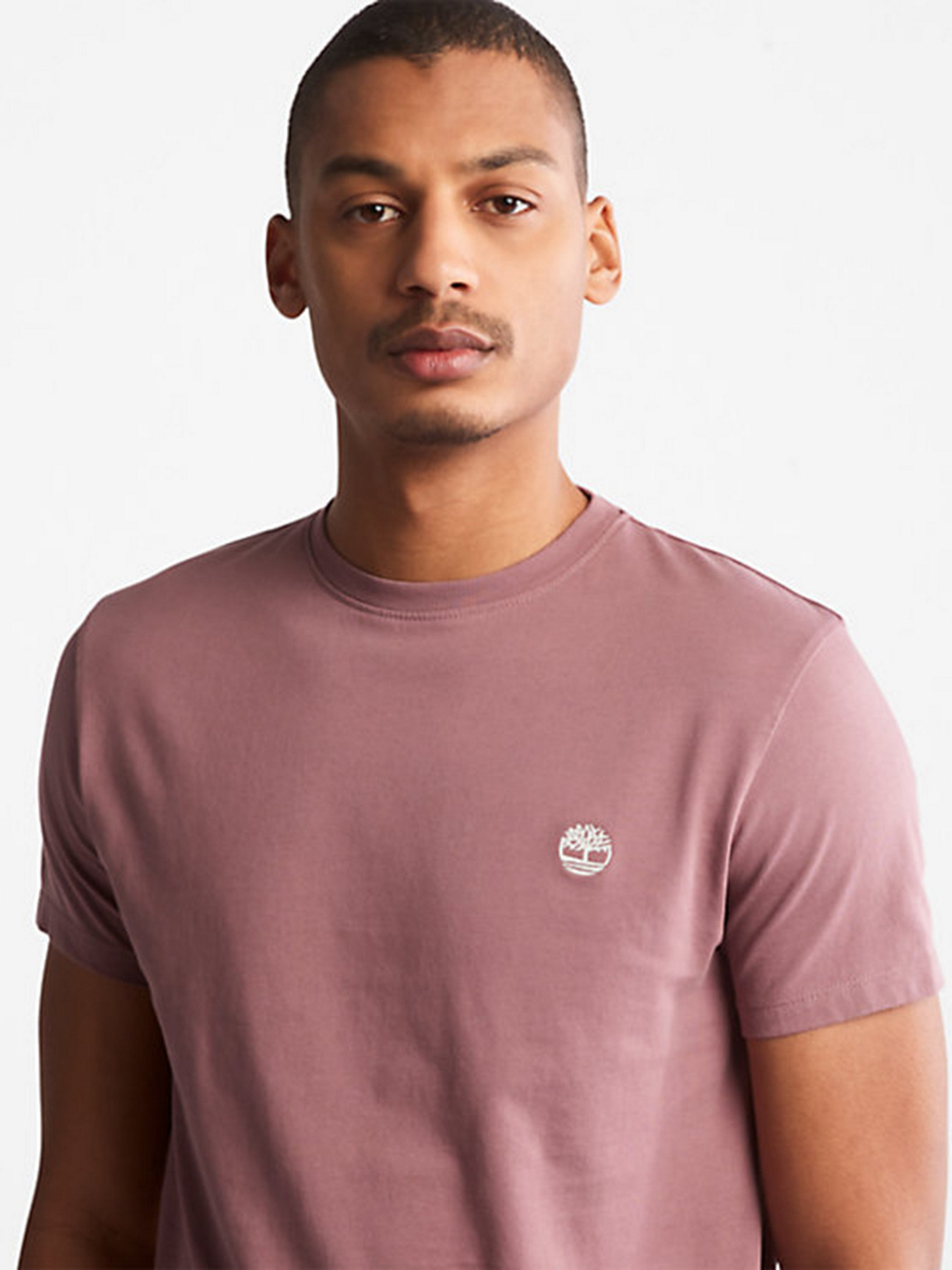 Футболки и поло Timberland Dunstan River модель TB0A2BPRCL4 Фото