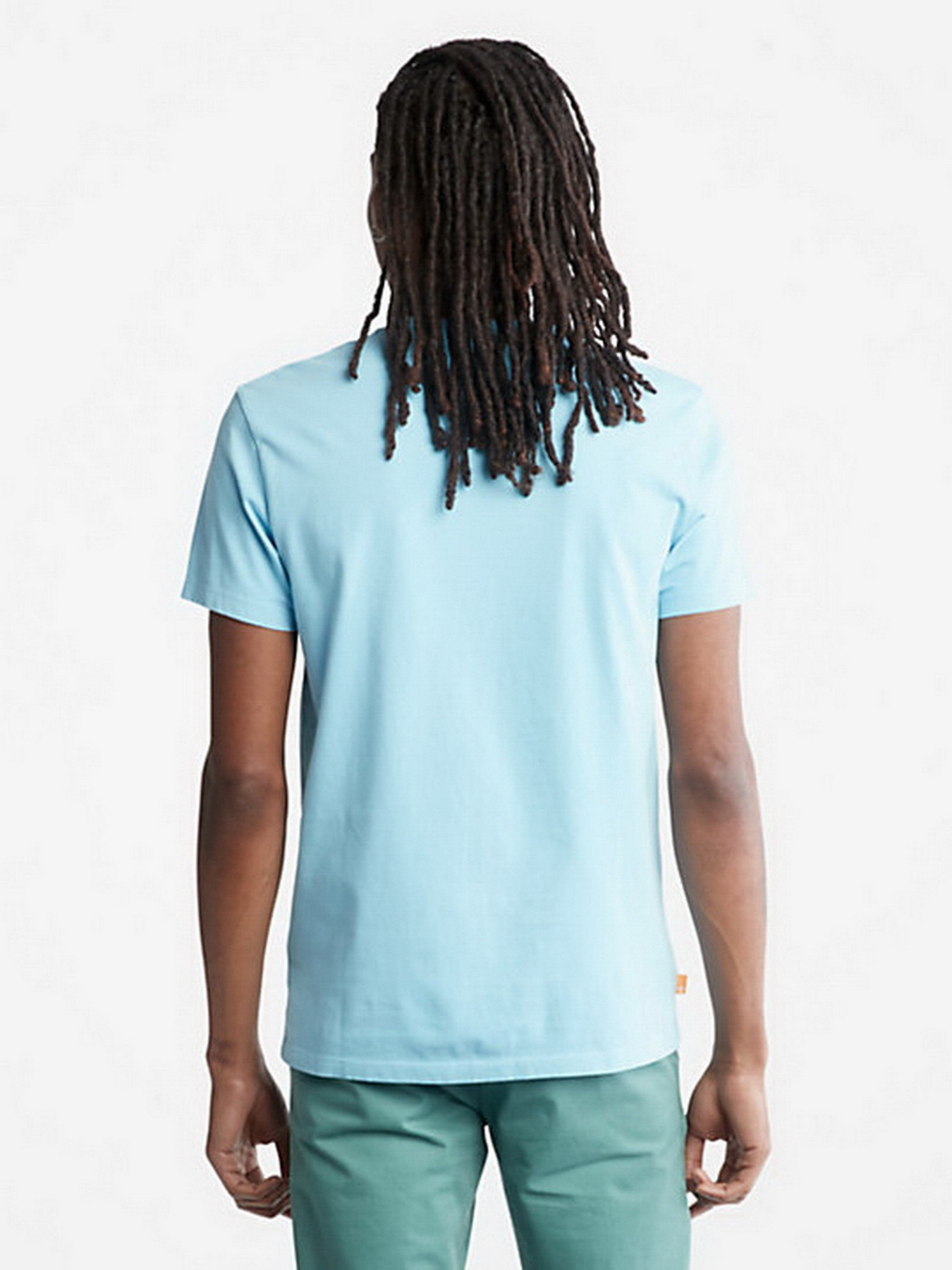 Футболка Timberland Dunstan River модель TB0A2BPRCL5 Фото