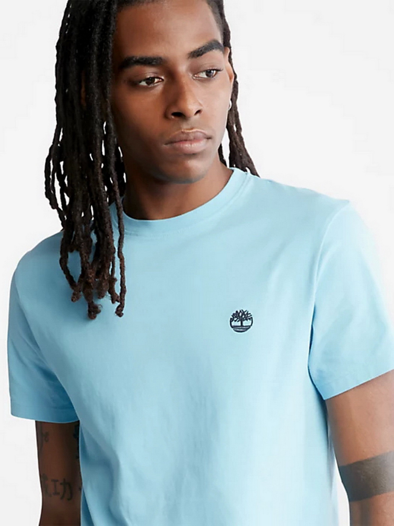 Футболка Timberland Dunstan River модель TB0A2BPRCL5 Фото