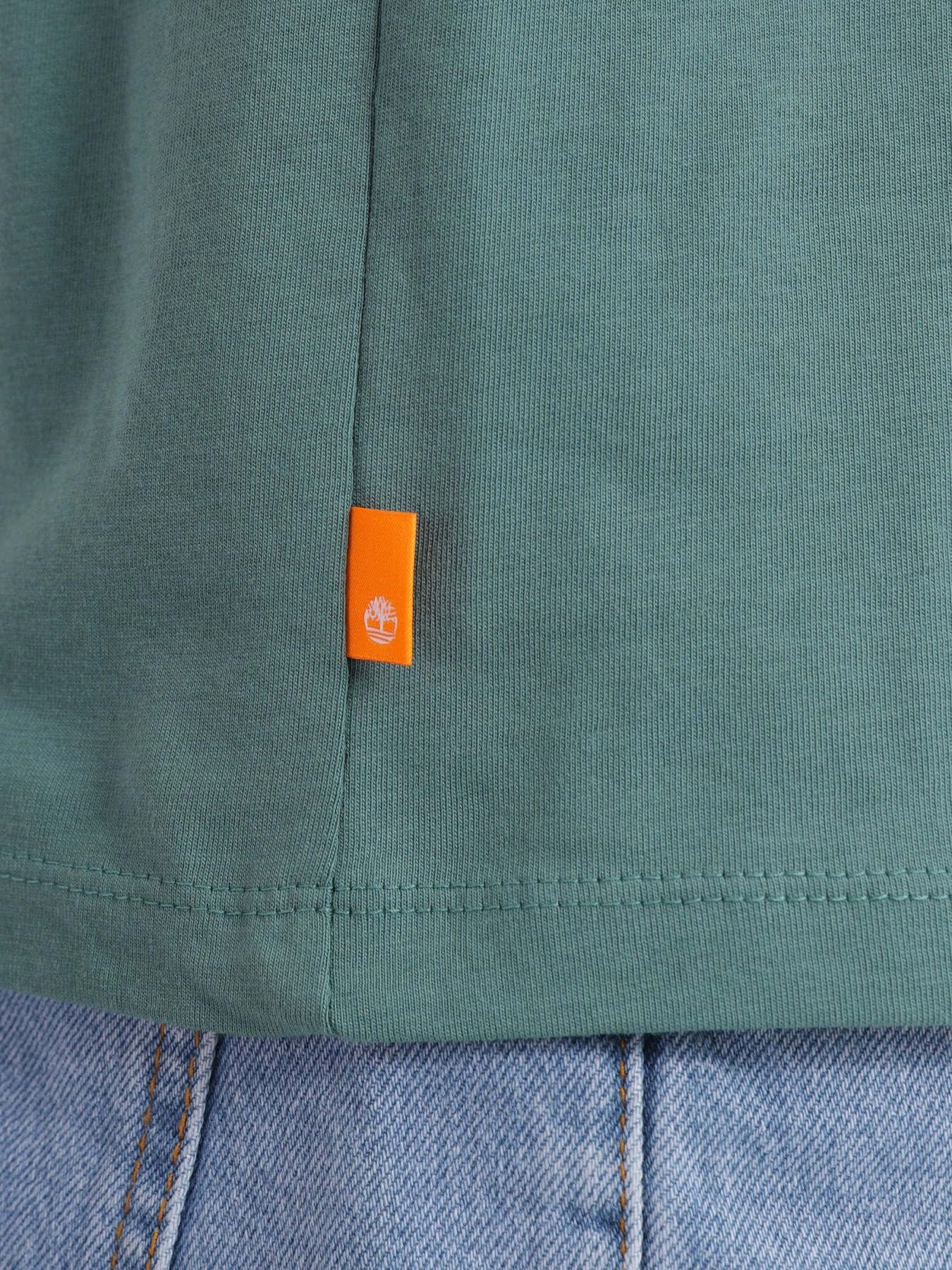 Футболка Timberland Dunstan River модель TB0A2BPRCL6 Фото