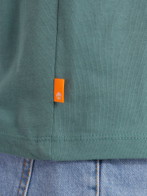 Футболка Timberland Dunstan River модель TB0A2BPRCL6 Фото