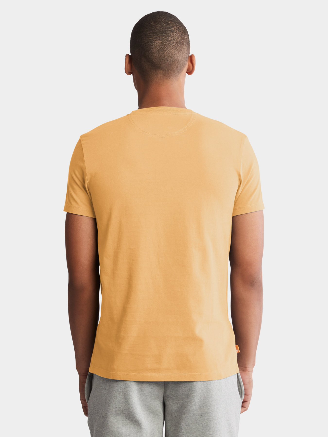 Футболка Timberland Dunstan River модель TB0A2BPRCL8 Фото