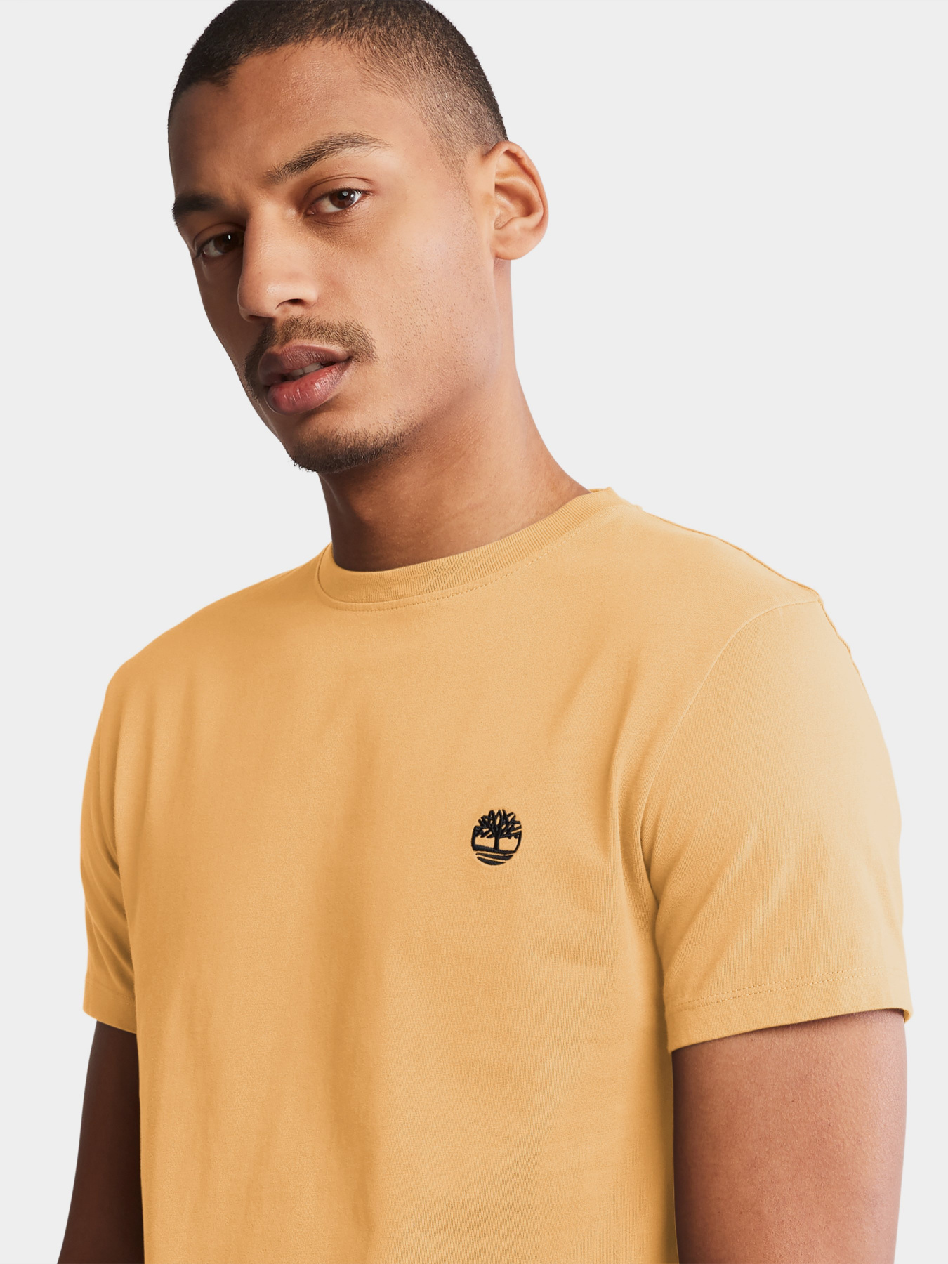 Футболка Timberland Dunstan River модель TB0A2BPRCL8 Фото