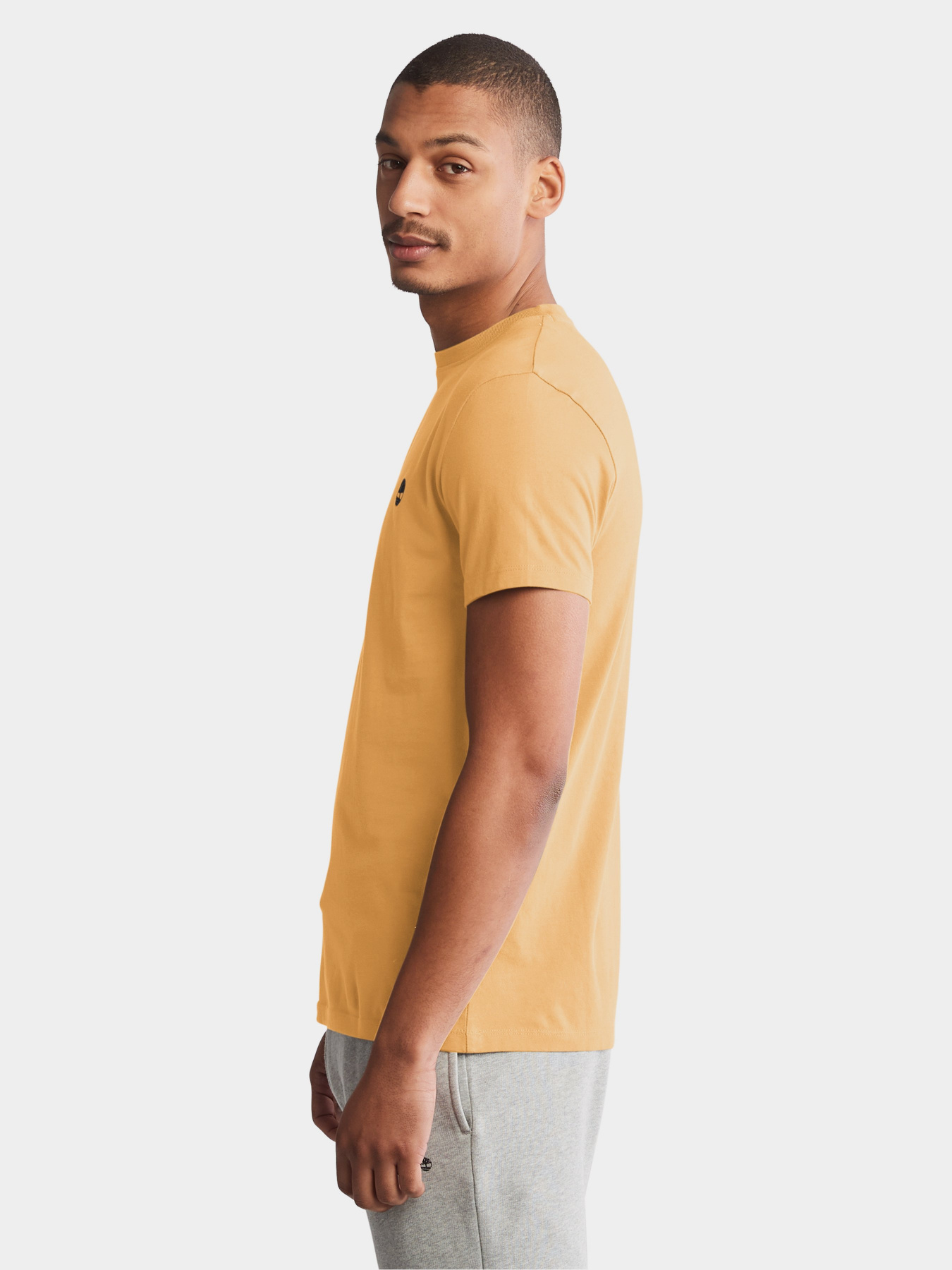 Футболка Timberland Dunstan River модель TB0A2BPRCL8 Фото