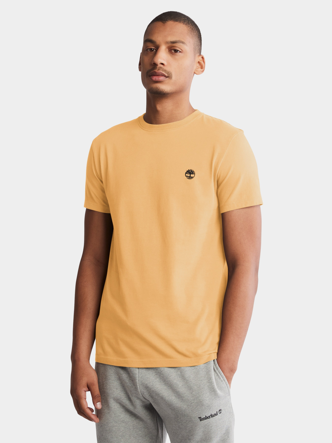 Футболка Timberland Dunstan River модель TB0A2BPRCL8 Фото