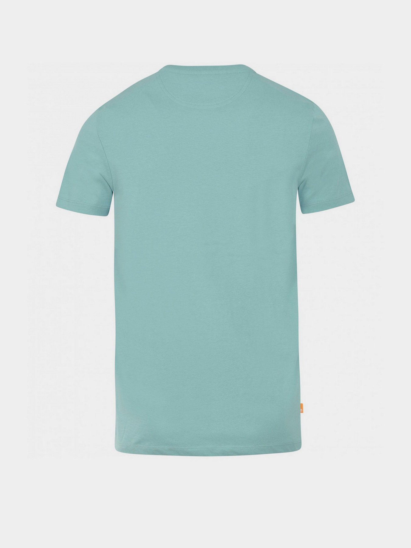 Футболка Timberland Dunstan River модель TB0A2BPRG99 Фото