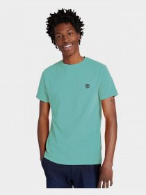Футболка Timberland Dunstan River модель TB0A2BPRG99 Фото