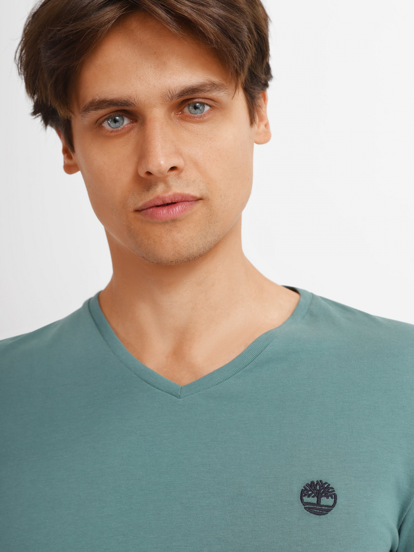 Футболка Timberland Dunstan River V-Neck модель TB0A2BPTCL6 Фото