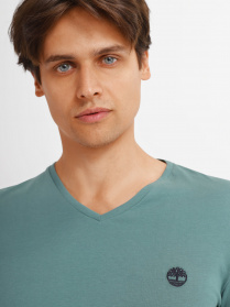 Футболка Timberland Dunstan River V-Neck модель TB0A2BPTCL6 Фото