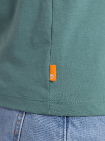 Футболка Timberland Dunstan River V-Neck модель TB0A2BPTCL6 Фото