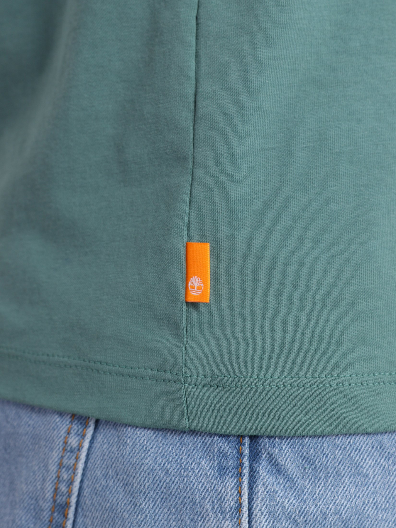 Футболка Timberland Dunstan River V-Neck модель TB0A2BPTCL6 Фото