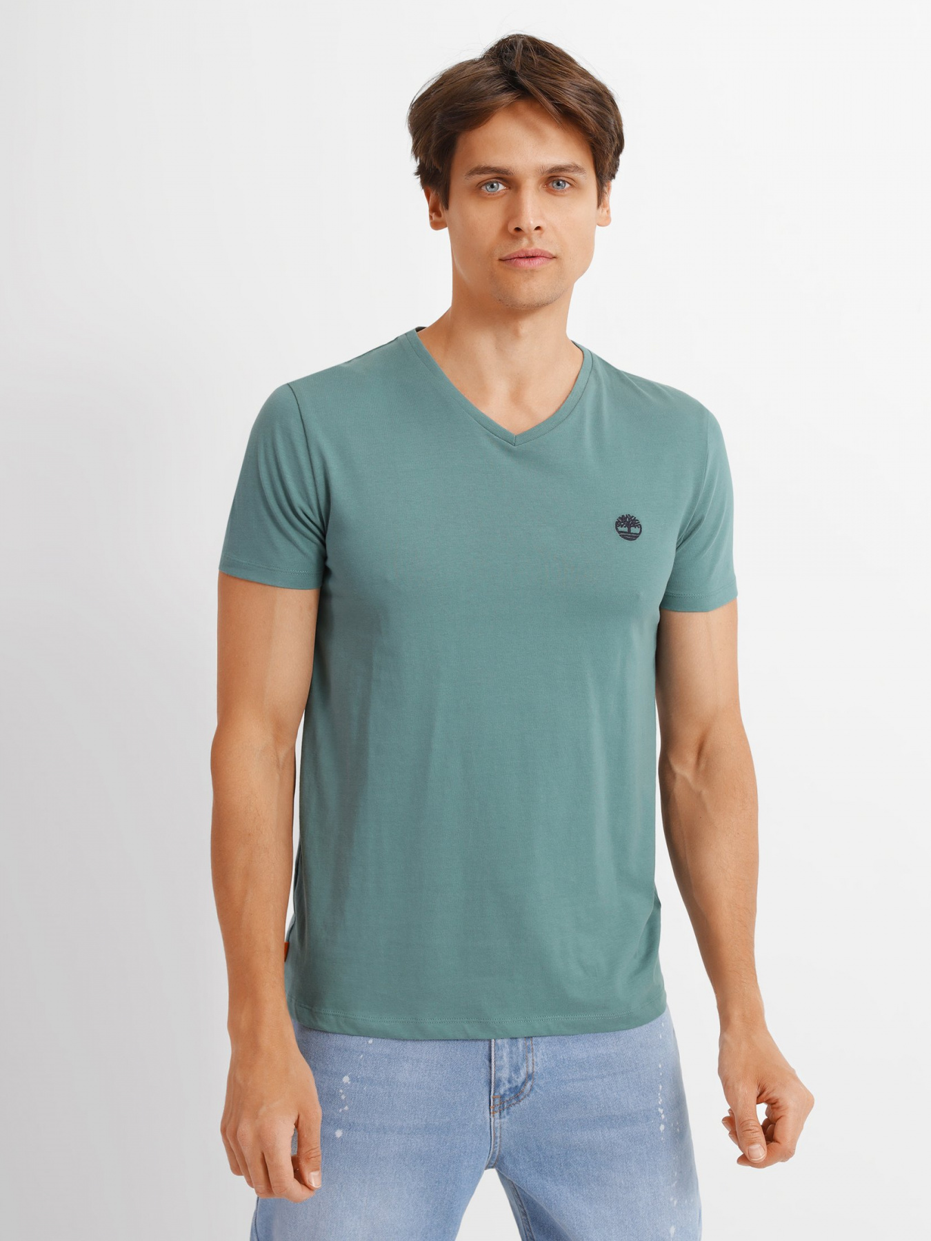 Футболка Timberland Dunstan River V-Neck модель TB0A2BPTCL6 Фото