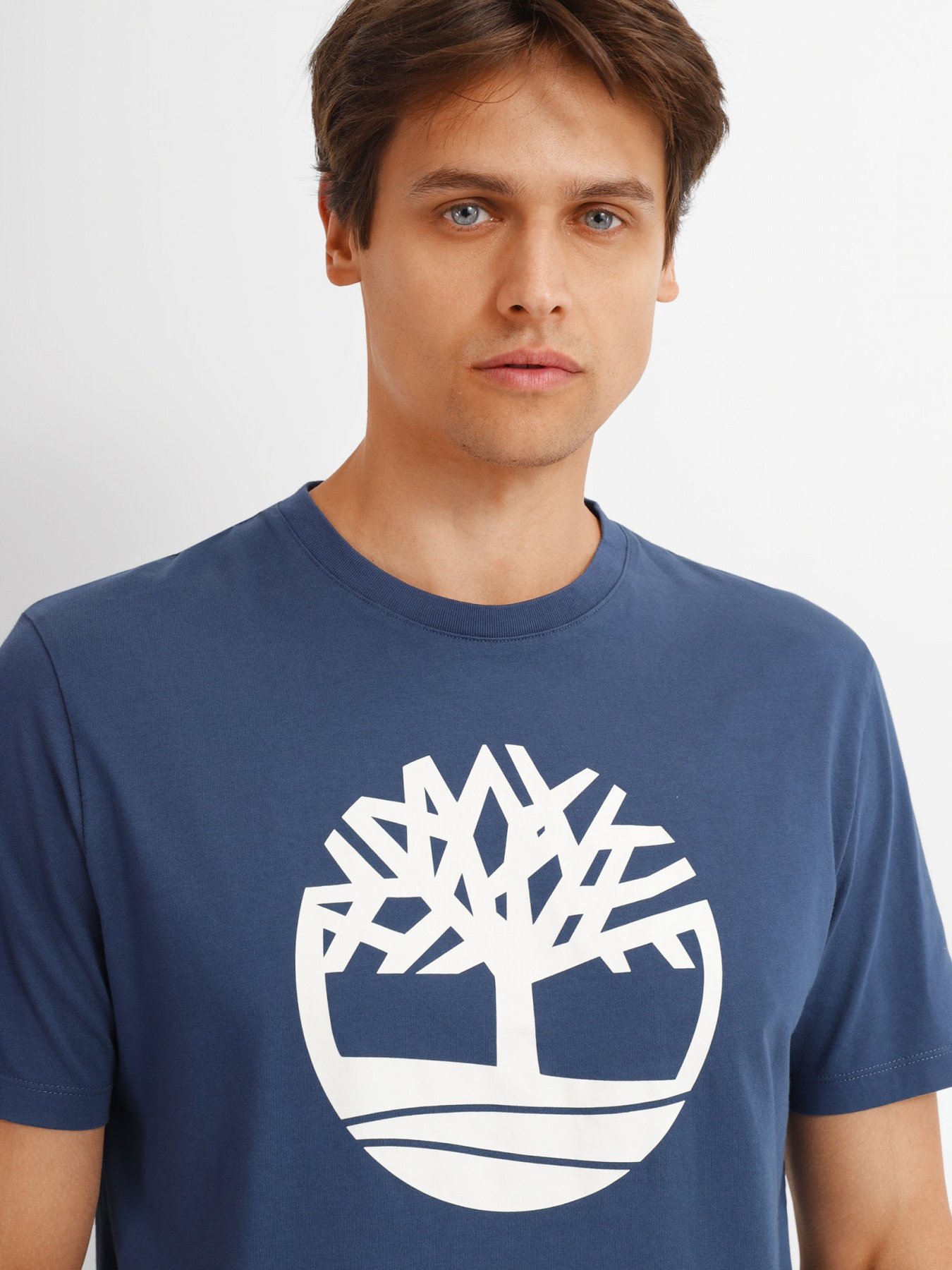 Футболки і поло Timberland модель TB0A2C2R288 Фото