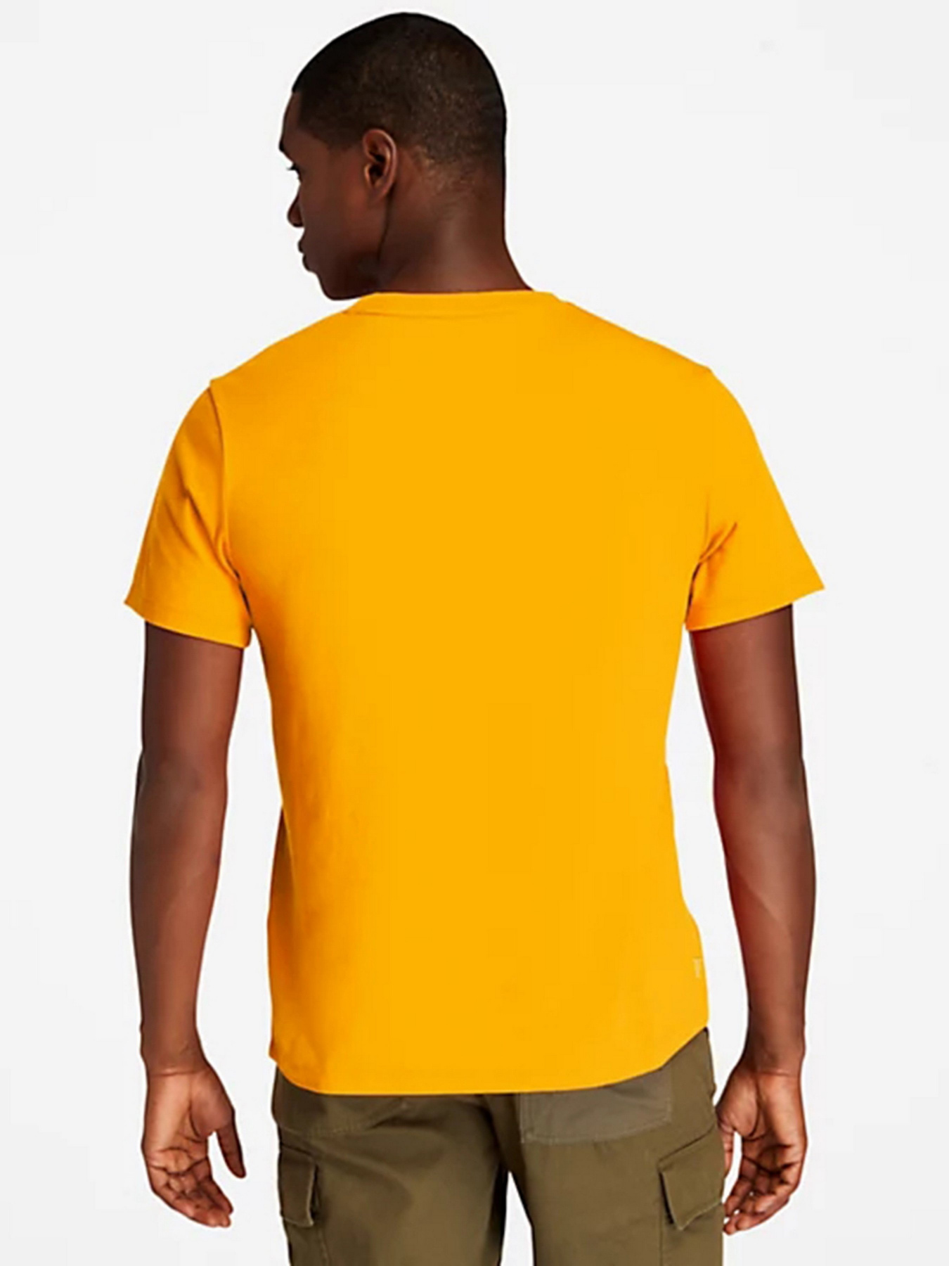 Футболки и поло Timberland Kennebec River Tree Logo модель TB0A2C2R804 Фото