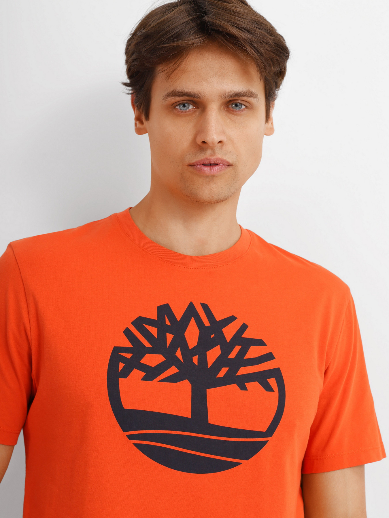 Футболка Timberland Kennebec River Tree-Logo модель TB0A2C2RCL7 Фото