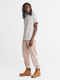 Футболки і поло Timberland Kennebec River Tree-Logo модель TB0A2C2RCM9 Фото