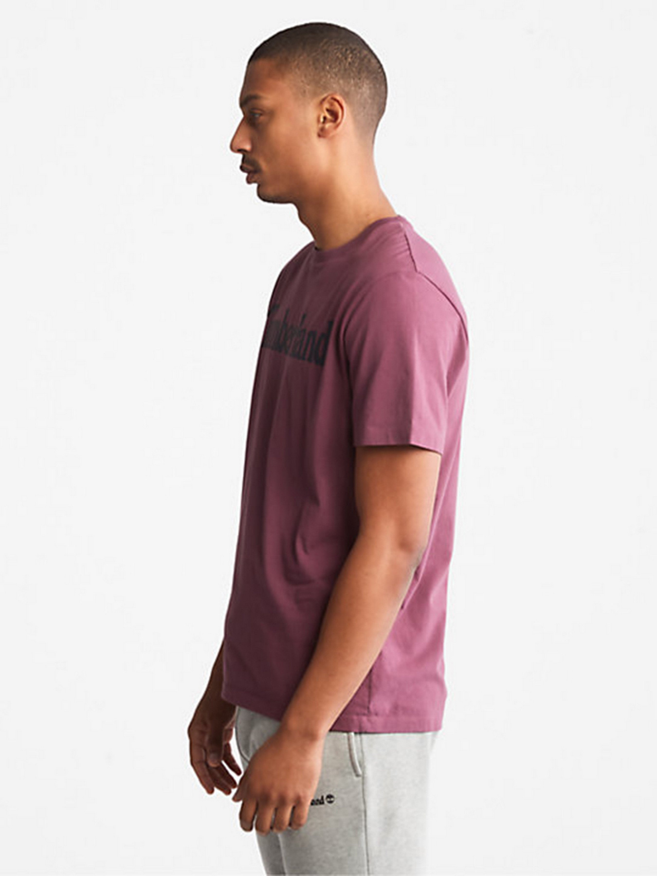 Футболки і поло Timberland модель TB0A2C31G69 Фото