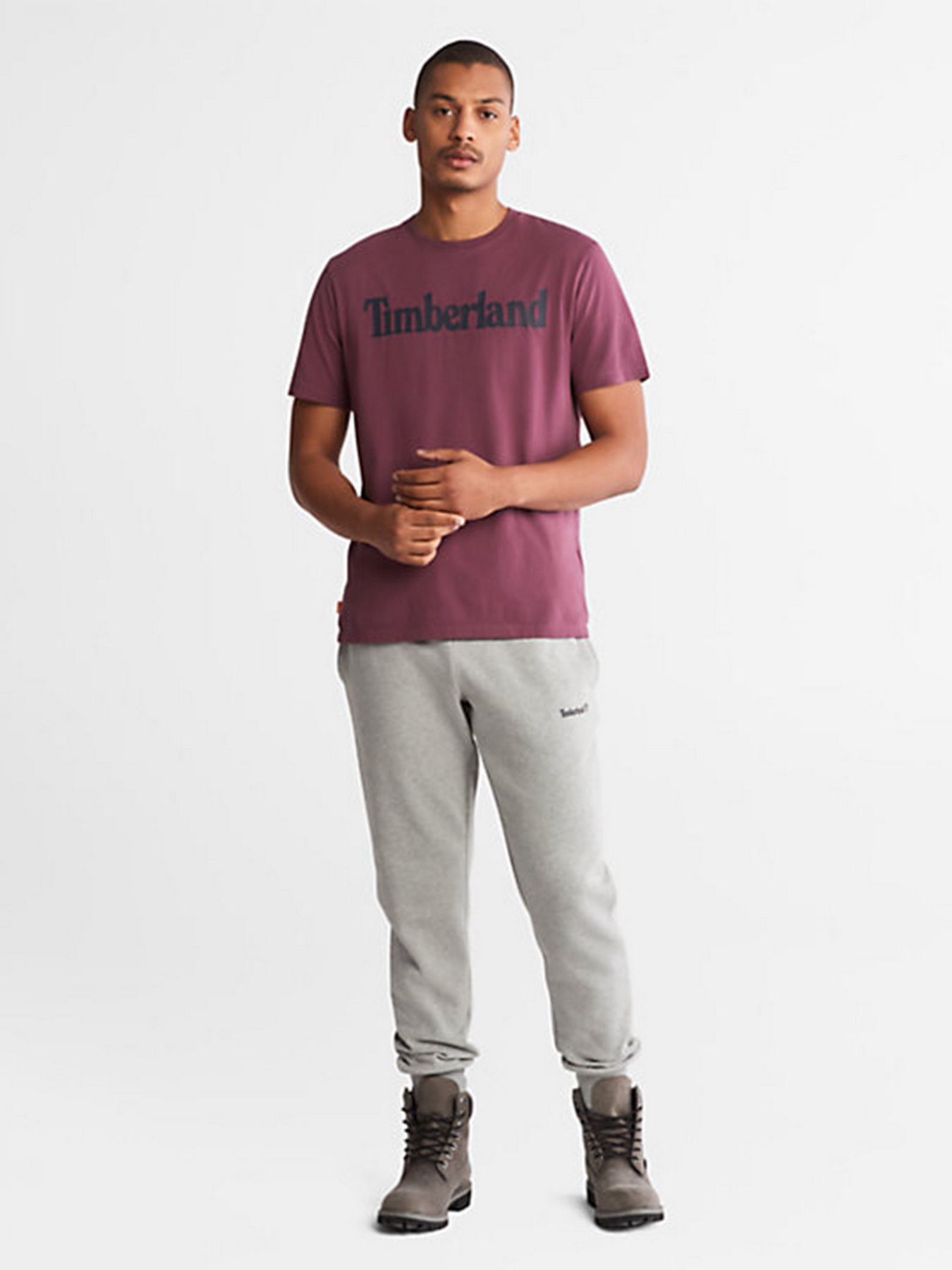 Футболки і поло Timberland модель TB0A2C31G69 Фото