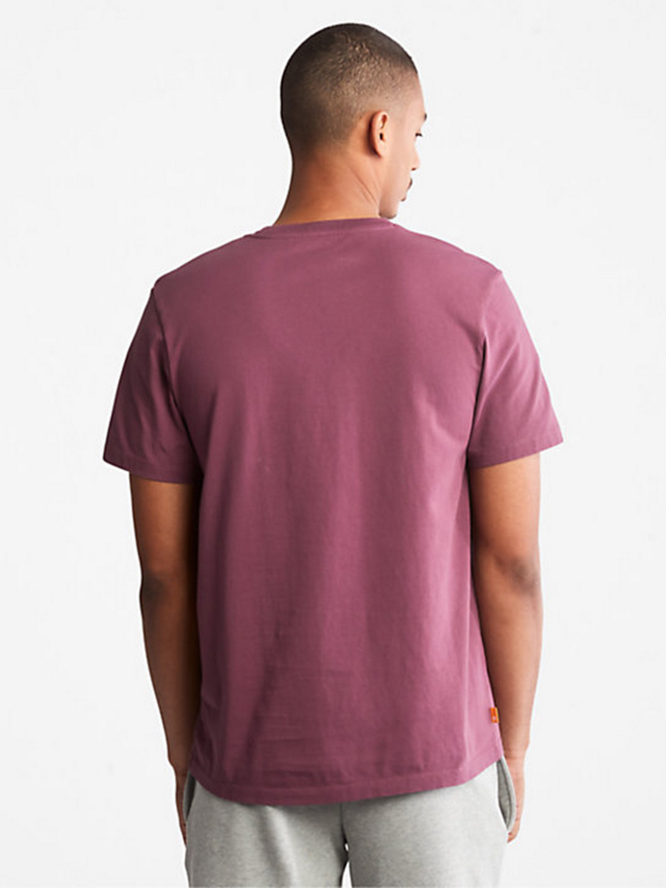 Футболки и поло Timberland модель TB0A2C31G69 Фото