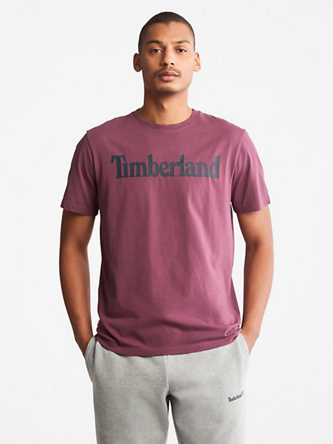 Футболки и поло Timberland модель TB0A2C31G69 Фото