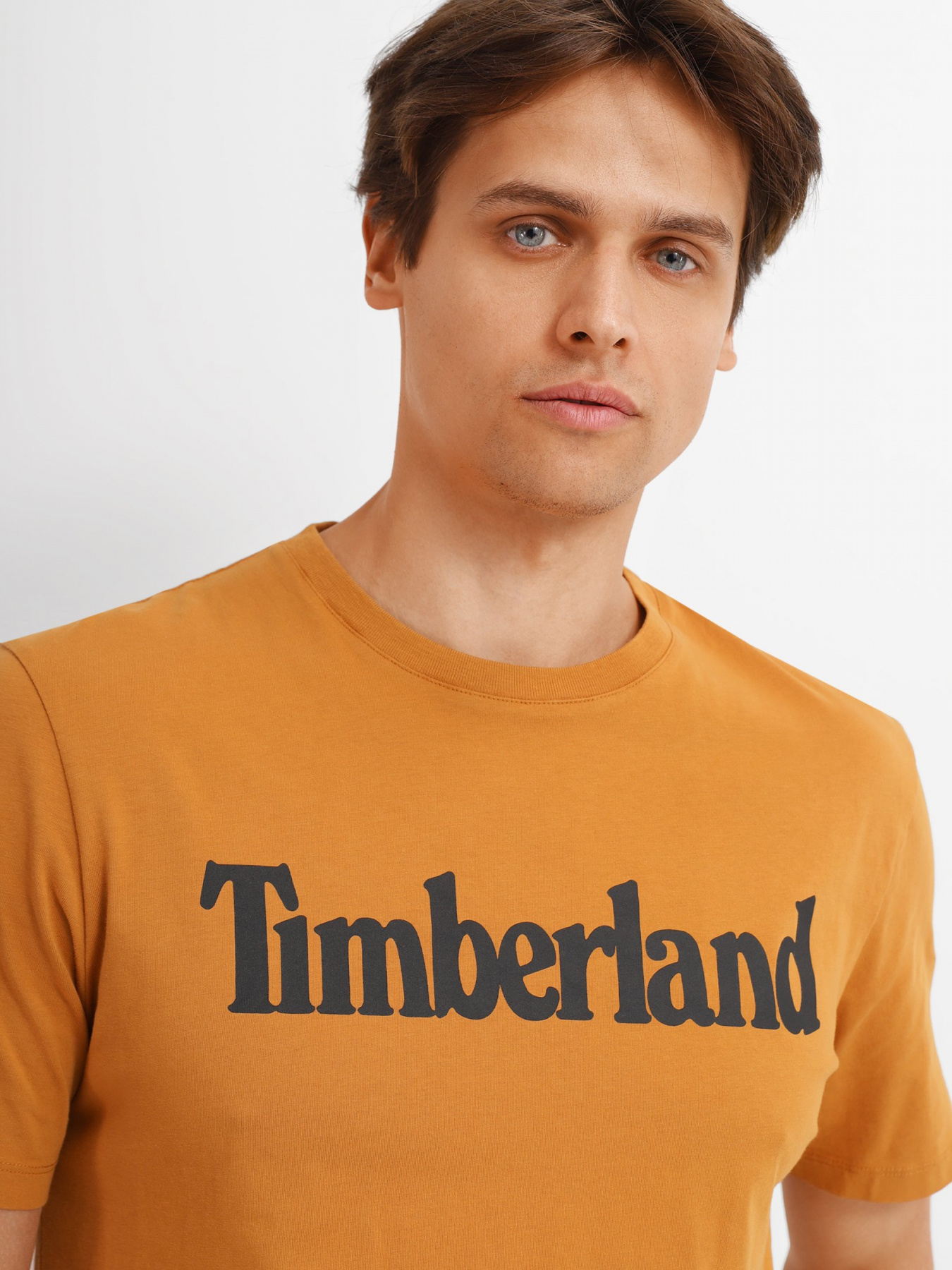 Футболка Timberland Kennebec River Tree Logo модель TB0A2C31P47 Фото