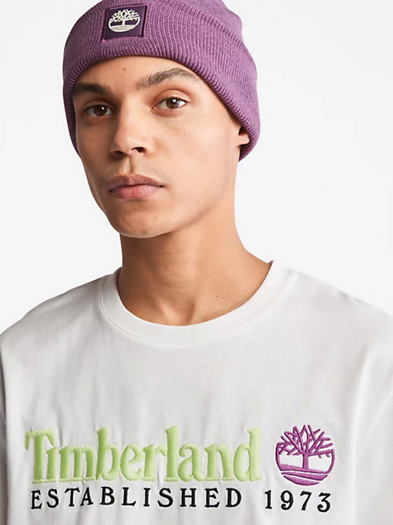 Футболка Timberland Outdoor Heritage Logo модель TB0A2CMADC2 Фото