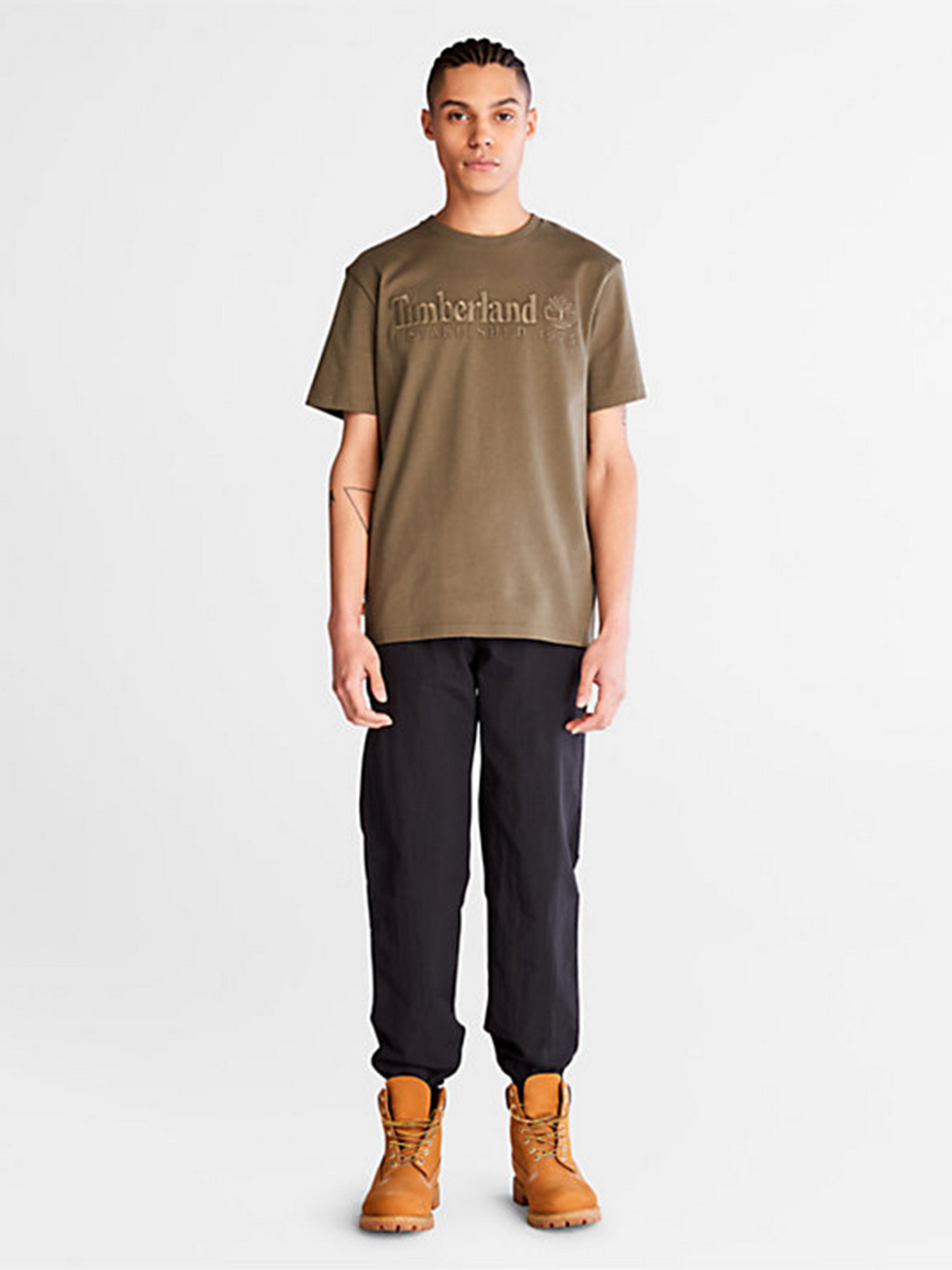 Футболки и поло Timberland Outdoor Heritage Logo модель TB0A2CMAA58 Фото